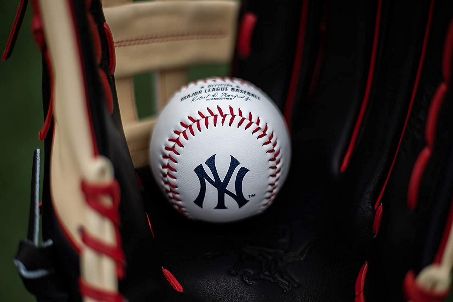 | Official 2026 MLB Baseball with Team Logo | All 30 MLB Teams Available